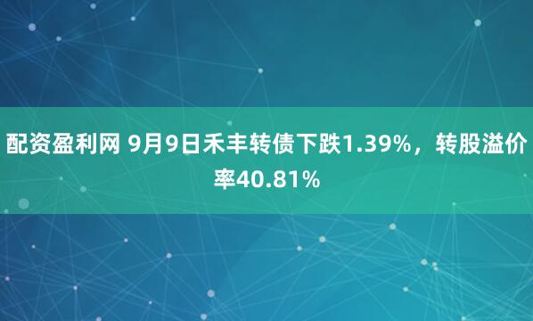 配资盈利网 9月9日禾丰转债下跌1.39%，转股溢价率40.81%