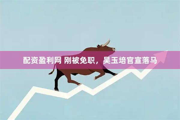 配资盈利网 刚被免职，吴玉培官宣落马