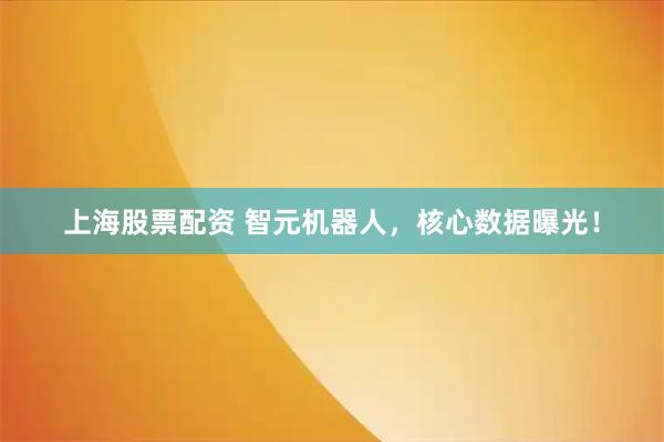 上海股票配资 智元机器人，核心数据曝光！