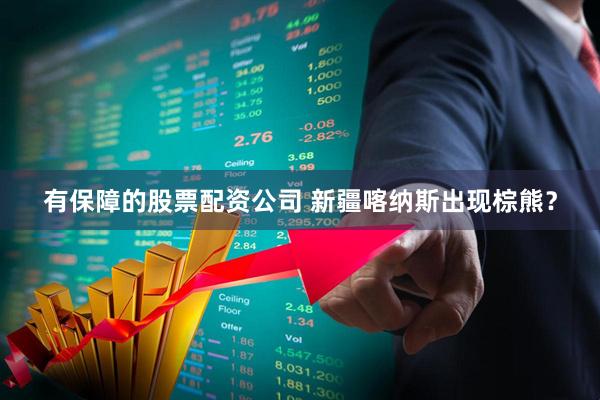 有保障的股票配资公司 新疆喀纳斯出现棕熊？